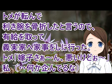 【スカッとする話】トメが転んで利き腕を骨折したと言うので、有給を取って義実家へ家事をしに行った。トメ「嫁子さぁ～ん、悪いけどぉ～」私（・・何か企んでるな）