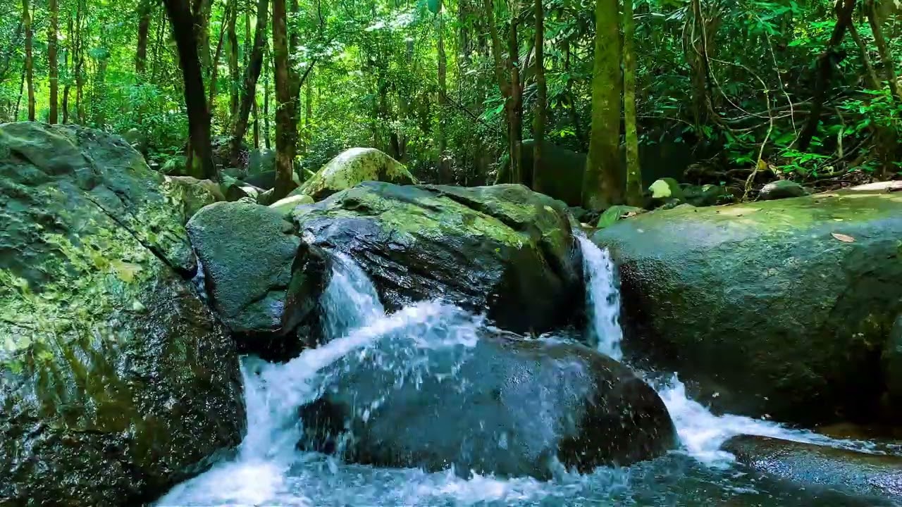 Ultimate Relaxation: Calming River Flow & Nature White NoiseVideo Upload