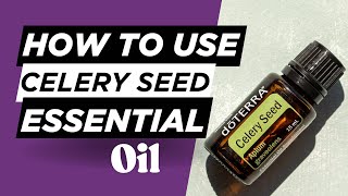 MINYAK ESENSIAL BIJI SELEDRI / Kesehatan Perut