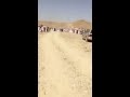 كفو صبيان منهل نجومي