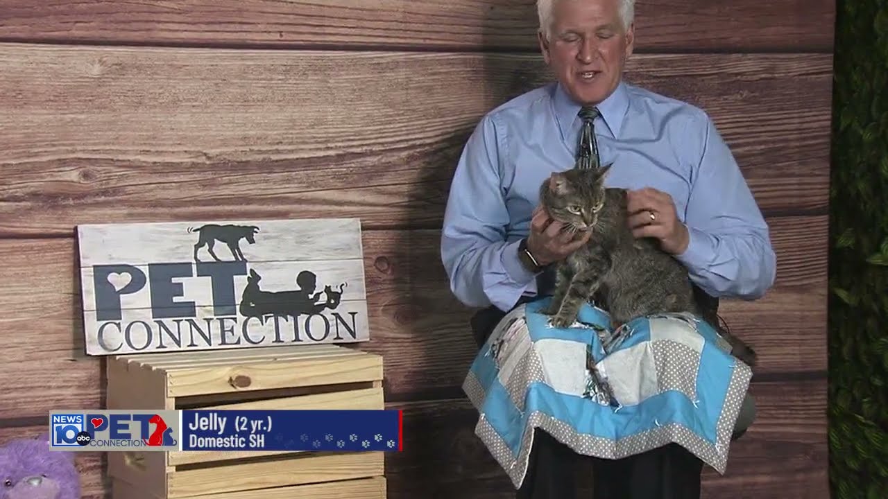 Pet Connection Jelly 5-23-23