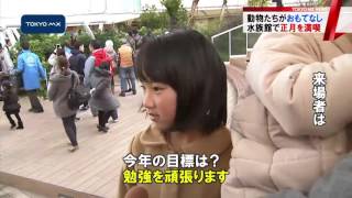 サンシャイン水族館　アシカやカワウソが正月のおもてなし
