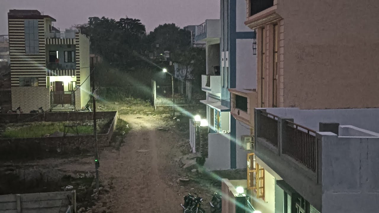 प्रवासी पक्षी#nature 