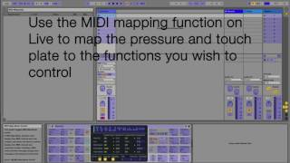 Eowave Ribbon 2 DAW setup