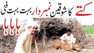 kutty ka shoqeen Number Daar very funny by You Tv Hd