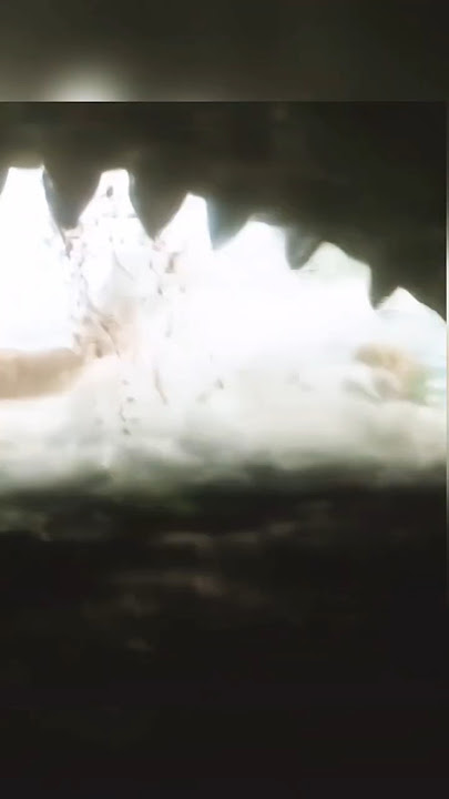 Giant Shark Attack #movieclips #movieshorts #movie