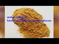 mushroom beta glucan, mushroom extract from Evergreen Biotech Inc
