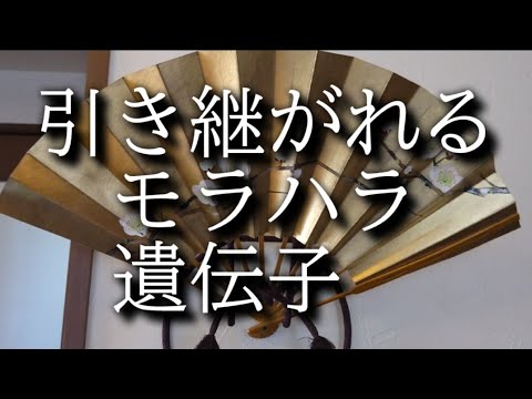 《暮らしのvlog》《60代ひとり暮らし》桃の節句#上巳の節句#60代 #シニア #70代 #丁寧な暮らし #器のある暮らし#雛祭り@masudatherapy #モラハラ