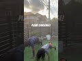 Plank Challenge! #outdoors #japan #fitness #getresolve