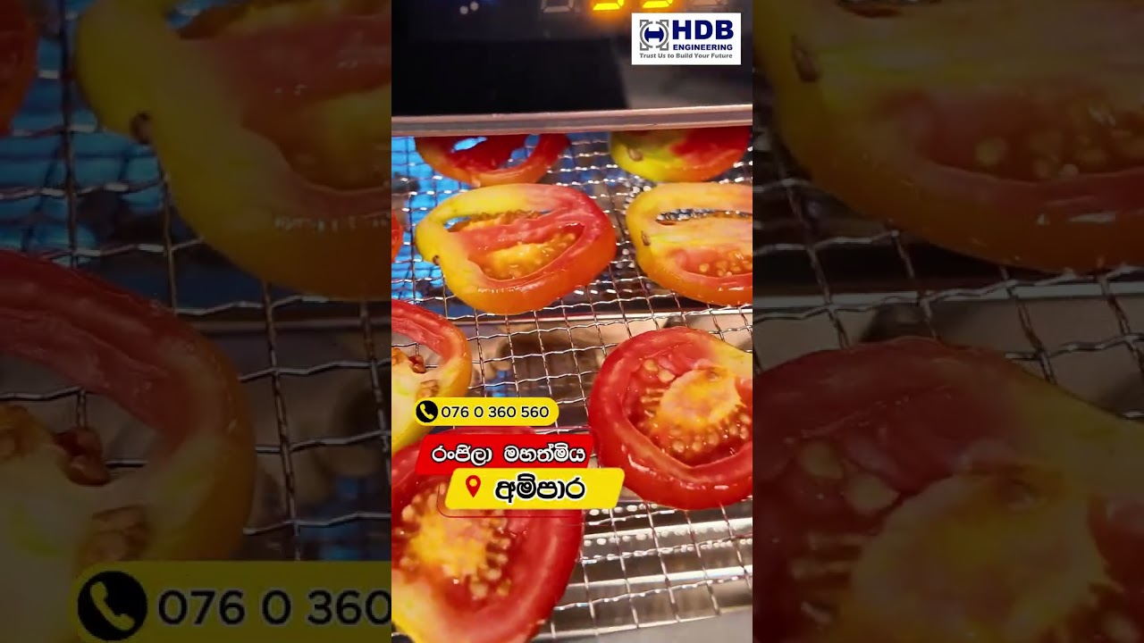 🎥 Customer Feedback | HDB Dehydrator Machine