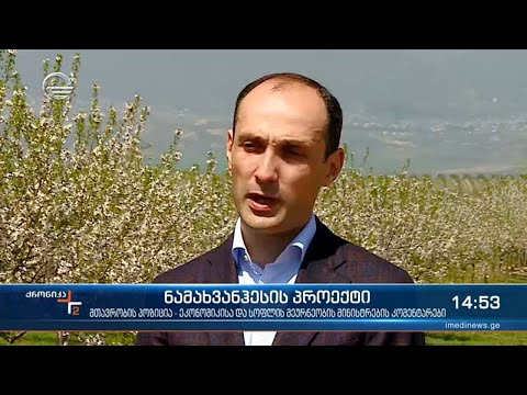 ქრონიკა 14:00 საათზე -  12 აპრილი, 2021 წელი