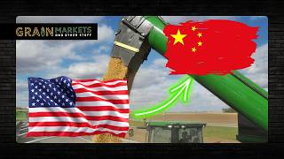 Soybeans RALLY on China Buying and Non-Stop Corn Belt Heat