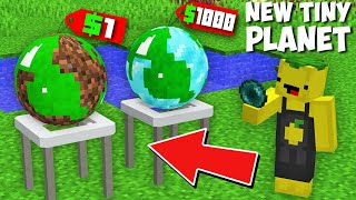 What if I BOUGHT TINY DIAMOND VS DIRT PLANET in Minecraft ! SECRET SMALL PLANET !