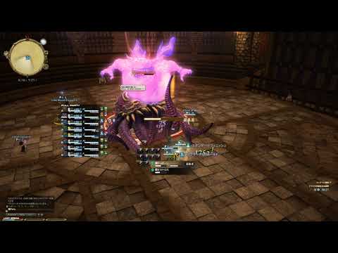 アマジナ杯闘技会決勝戦（DPS）