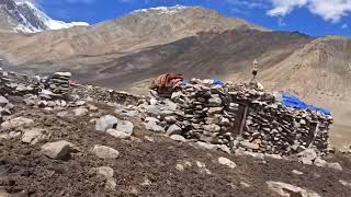 Nomads in Mountains of Baltistan #nomadicliving #oldstone #sehperds #organic 