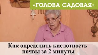 Голова садовая - Как определить кислотность почвы за 2 минуты