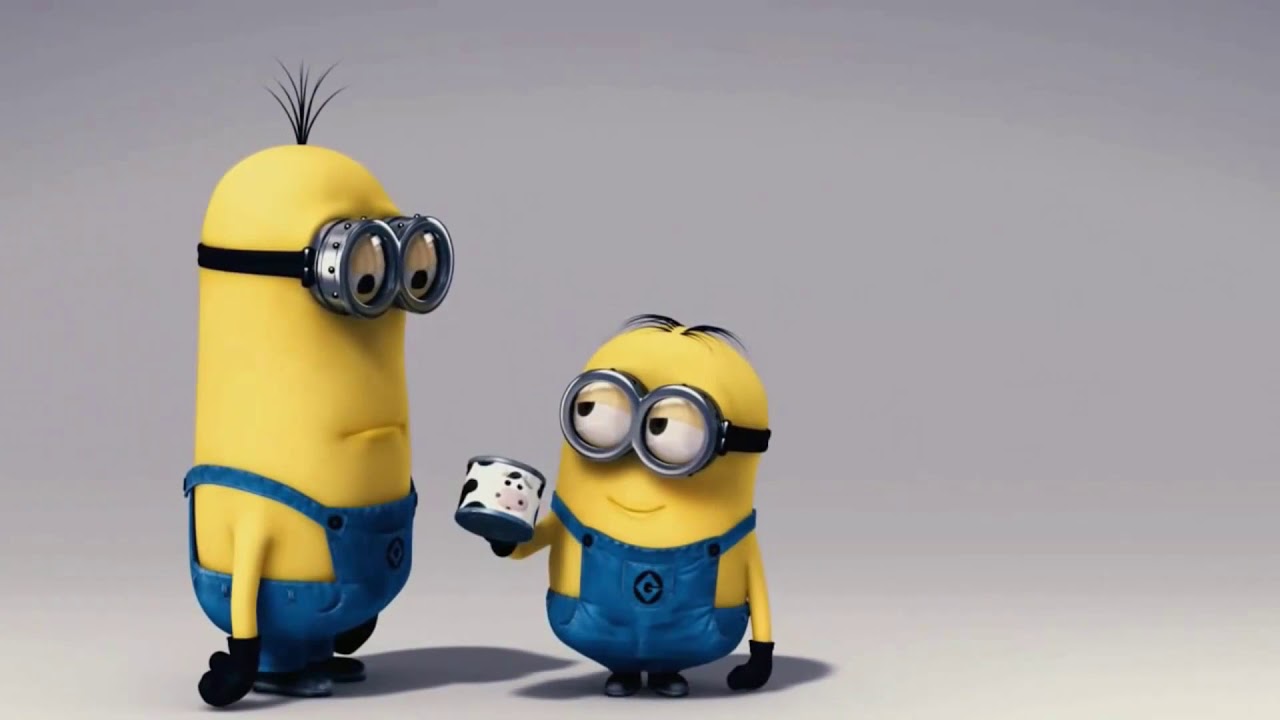 Minion Cow Mini [Funny] YouTube