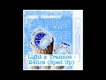 Light X Trannos 24hrs Sped Up 