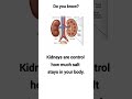 kidneys mechanism