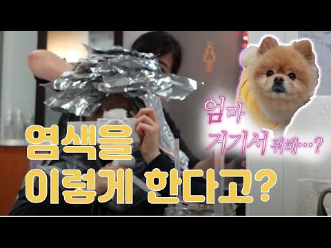 천조국의 이상한 머리염색 (MY TRANSFORMATION) thumbnail