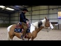Teaching a Horse To Neck Rein !!