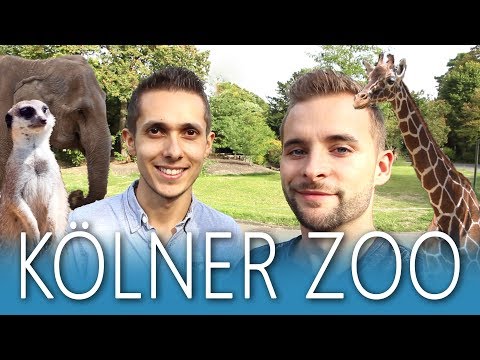 KÖLNER ZOO mit allen HIGHLIGHTS ??? Köln entdecken!