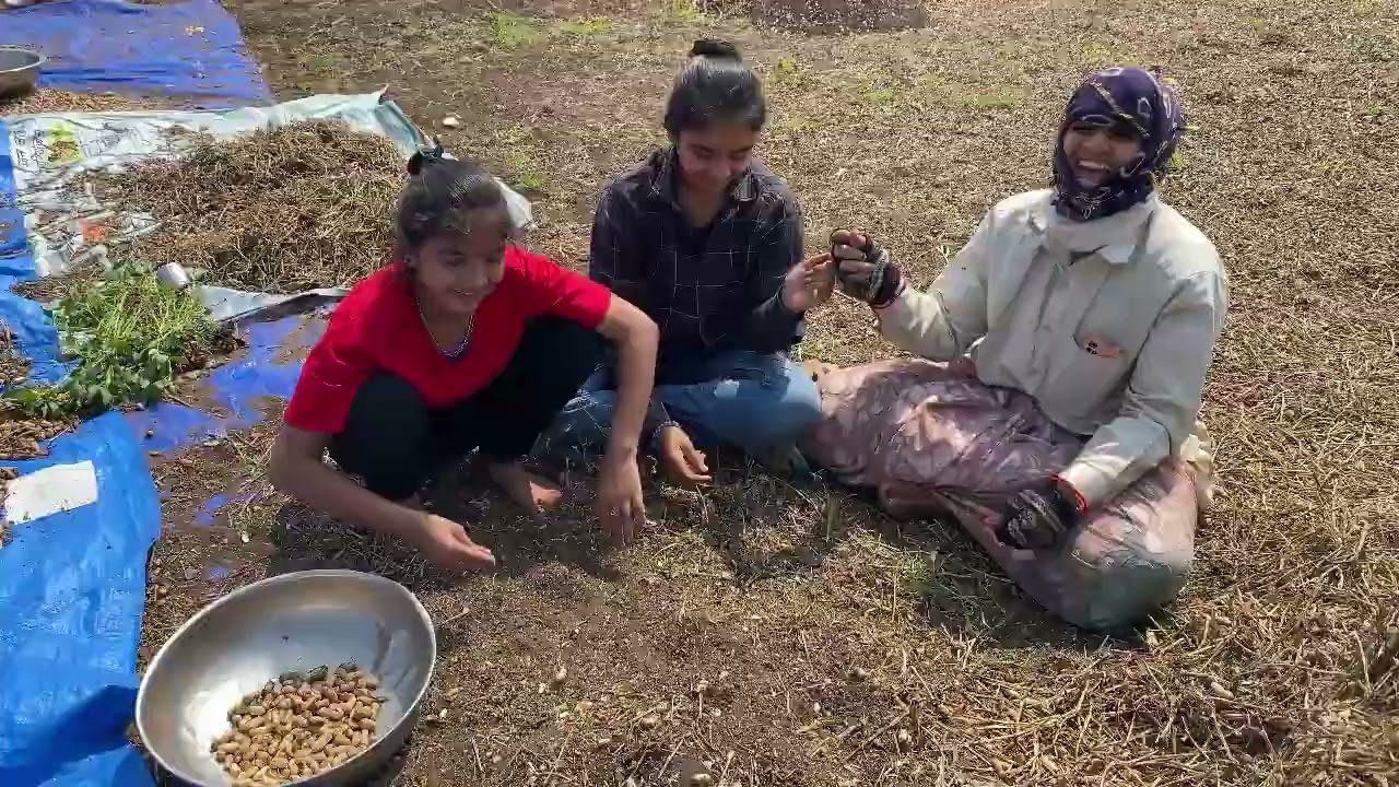 મગફળી નુ કામ અધુરુ મૂકવું પડીયુ