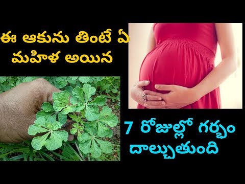 ఈ-ఆకును-తింటే-ఏ-మహిళ-అయిన-7-రోజుల్లో-గర్భం-దాల్చుతుంది-||-how-to-get-pregnant-fast-in-telugu