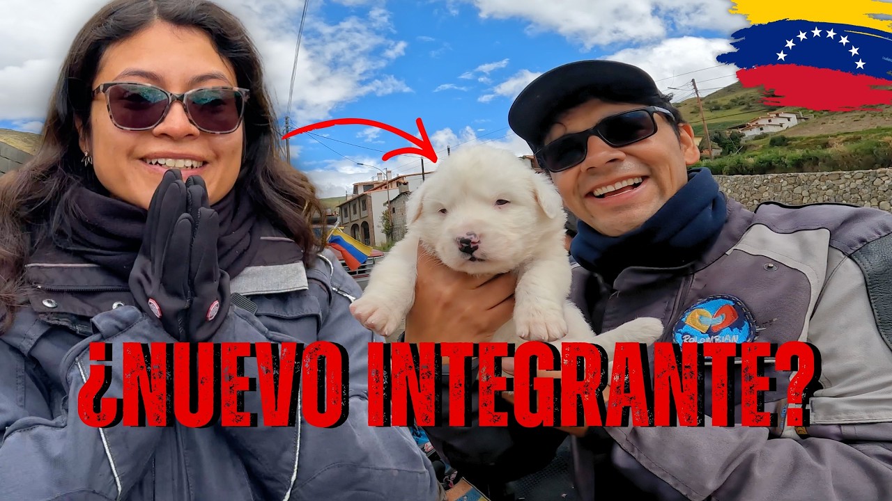 😳 VENEZUELA NOS SORPRENDE ASÍ en el PÁRAMO | Mérida 🇻🇪 C274