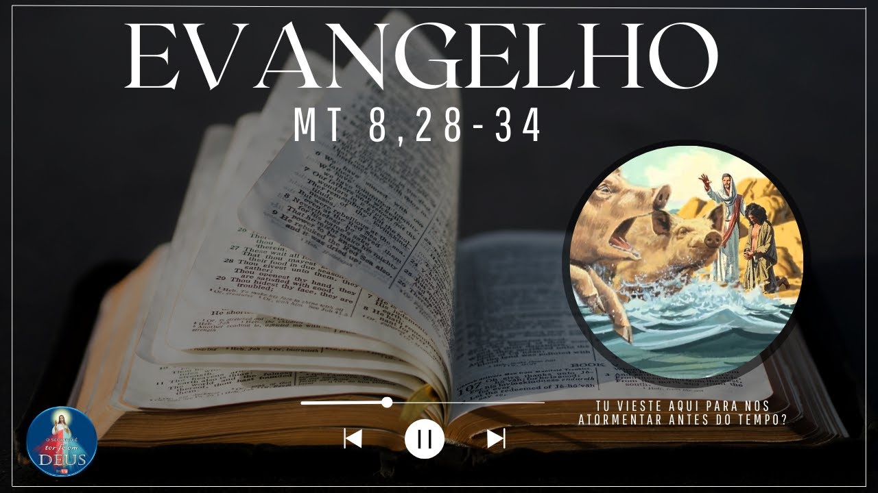 evangelho-de-mateus-8-28-34-com-reflex-o-tu-vieste-aqui-para-nos