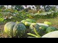  Part 2 Barge Renang Mini Vlog #trendingsantalisong #love #dance #agriculture #organicfarming 