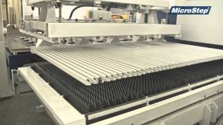 MSLoad – loading/unloading system for fiber laser Net Worth