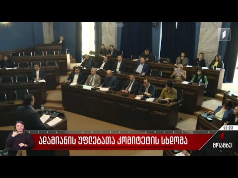 ადამიანის უფლებათა კომიტეტის სხდომა