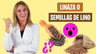 ESTO LE PASA a tu CUERPO con la LINAZA | Para que sirve la linaza | Alimentación real saludable