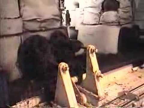 S.S. Badger Engine Room (2) - YouTube