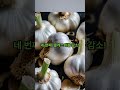 마늘이 피를 맑게 한다? 마늘 효능 TOP 5 #조현정강사#전상희tv# 방송스피치#sborts#봉숭아학당