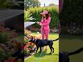 Garden Care #shorts #petsitting #calgary