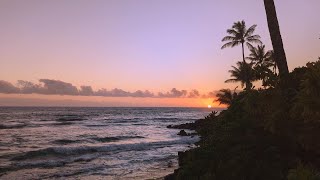 Kauai: The Garden Isle: Beauty and Stillness - A Purrfect ending, A Hui Hou - Until We Meet Again! Resimi