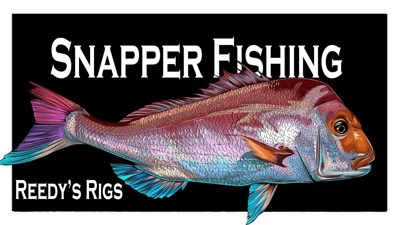 MELBOURNE Snapper Fishing Western Port Bay Squid Bait Fillet Catch Cook Up YouTube