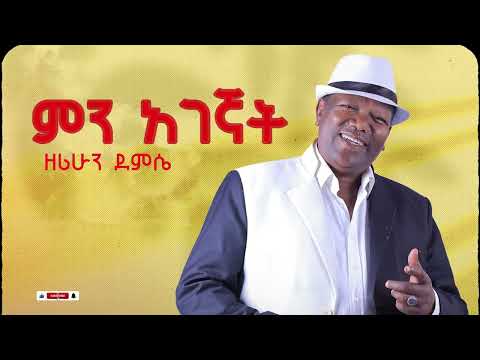 Zerihun Demise Min Agegnat I ምን አገኛት Remastered Official Lyrics Video