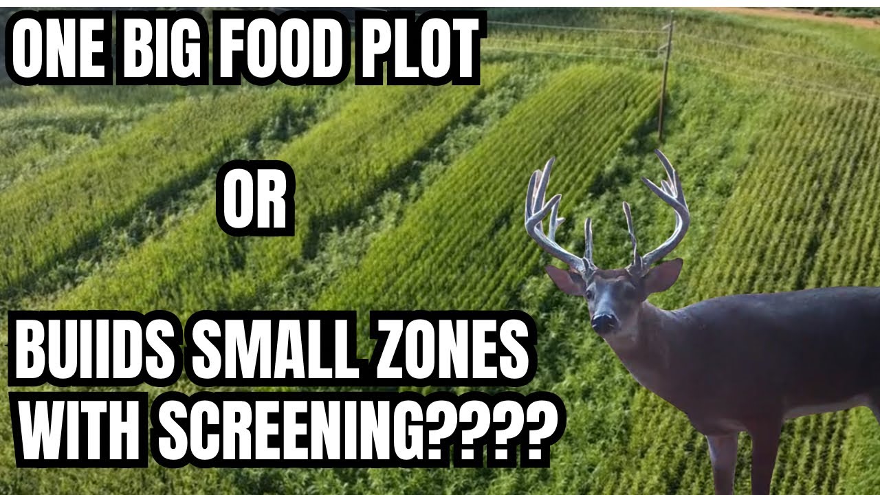 Стоит ли разделять участки с кормовыми культурами с помощью сетки? Или создавать лабиринт по всей...