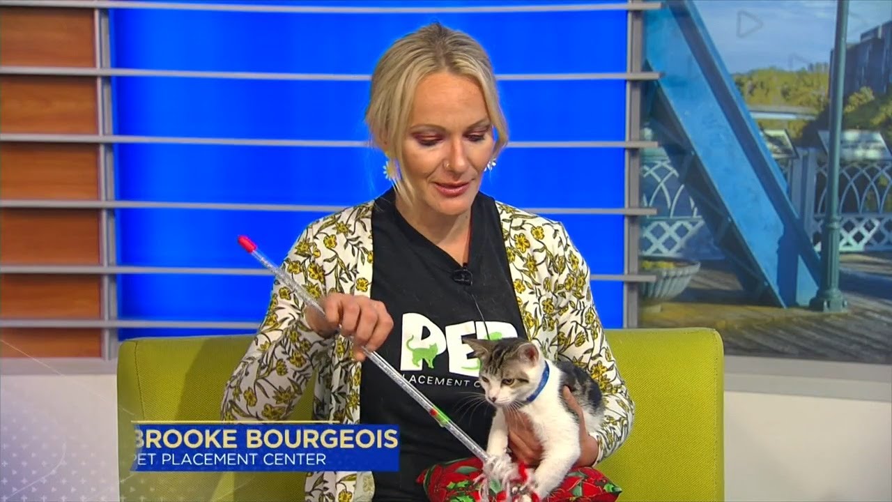 3 Plus Your Pets- Pet Placement Center - YouTube