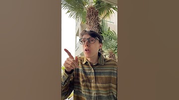 Mocking Birds Can Be So MEAN 😂💀 #TheManniiShow.com/series