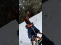 From fear to trust 🤍  Pasha jumps into my arms  #shorts #doberman#animalrescue #paşham