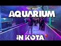 Unveiling the hidden aquatic paradise in kota rajasthan   i cant believe this vlog 