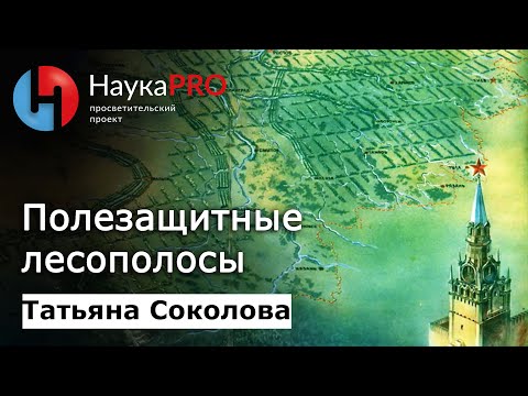 Видео: Когда были созданы лесные угодья?