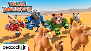 The HEAT is ON! MekBots Desert Rescue | TEAM MEKBOTS