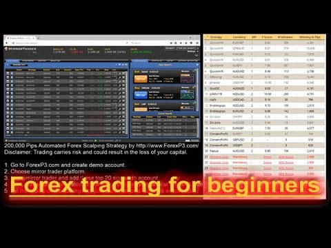 Live forex trading video