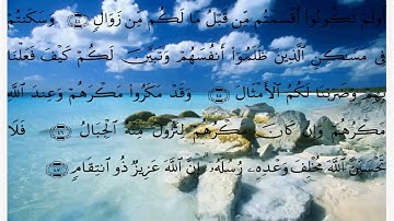 سورة ابراهيم الايات 42 الى اخر السورة