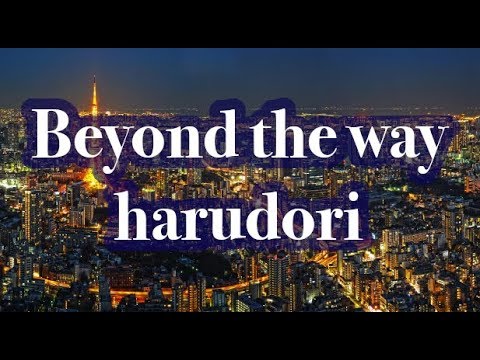 【2nd Lyric video】Beyond the way / はるどり　リリックビデオshort ver. 【オリジナル original song】